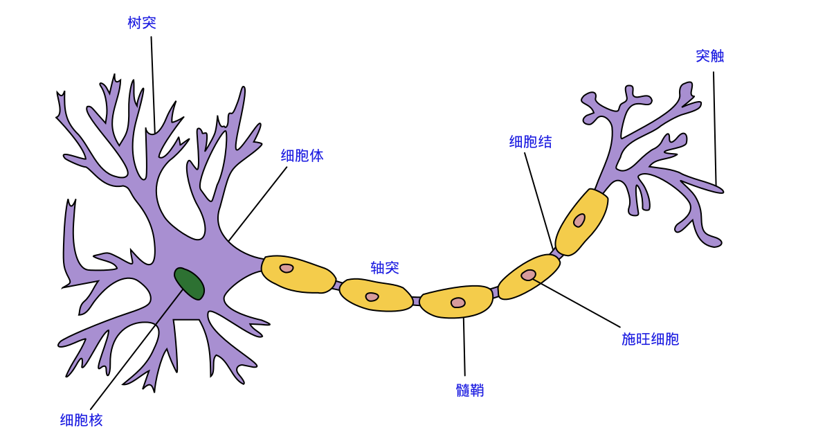 神经网络学习 之 M-P模型