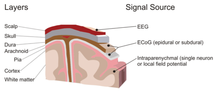 图3：几种脑部信号的信号源位置示意