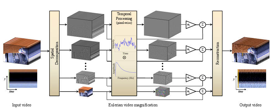 Overview of the Eulerian video magnification framework